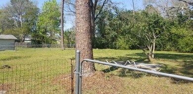 Fenced back yard