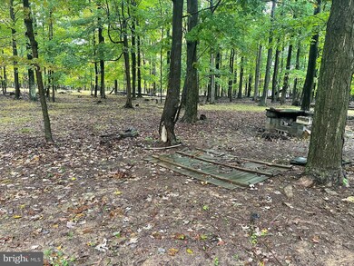 6432 Shaw Rd, Keyser, WV 26726 - photo 6