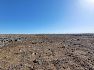 0800 Un Named Rd, Christmas Valley, OR 97641 - photo 6