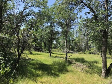 291 Acre Property 1