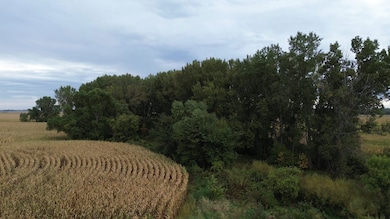 256th and Ditch Rd, Renner, SD 57055 - photo 7