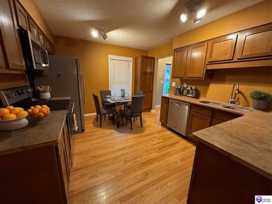 3017 Doe Valley Pkwy E, Brandenburg, KY 40108 - photo 4