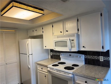 1013 Chestnut St unit D6, San Marcos, TX 78666 - photo 4