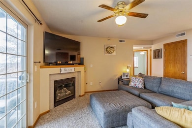 Gas fireplace