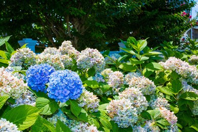 1098 Barnegat Ln, Mantoloking, NJ 08738 - photo 4