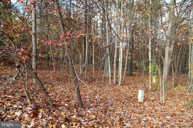 0 Warden Circle Rd unit WVHD2001796, Wardensville, WV 26851 - photo 7