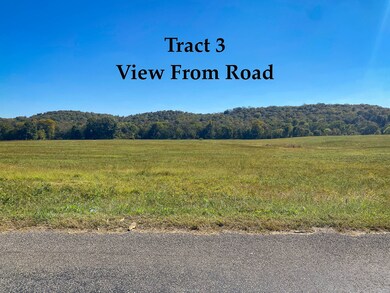 0 Narrows of the Harpeth Rd, Kingston Springs, TN 37082 - photo 5