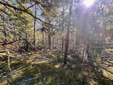 0 Right of Way Rd, Beecher, WI 54156 - photo 5