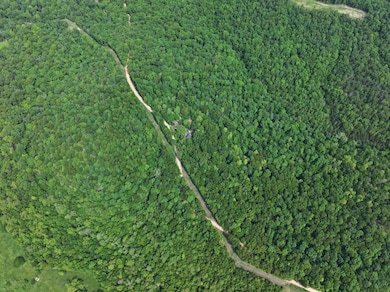 1619a Farm Road Sw4381, Noel, MO 64854 - photo 3