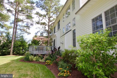 14419 Dampier Dr, Chester, VA 23831 - photo 3