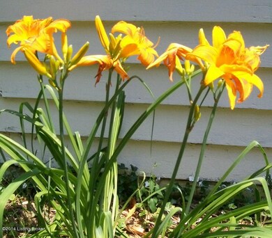 2209 manchester flowers