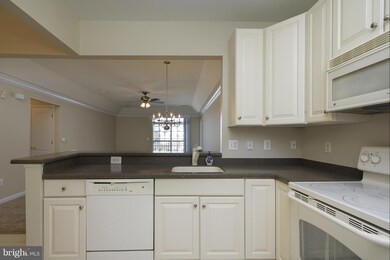 7325 Brookview Rd unit 301, Elkridge, MD 21075 - photo 3
