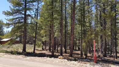 850 N Pine Knoll Loop unit SCP 1-4-64, Duck Creek Village, UT 84762 - photo 7