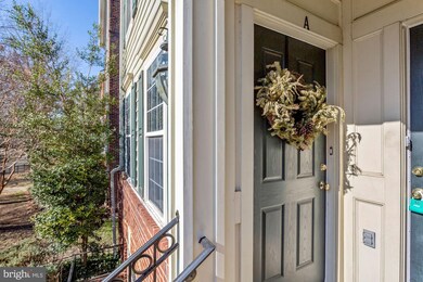 723 Massey Ln unit A, Alexandria, VA 22314 - photo 3