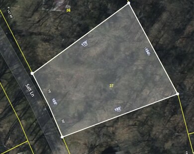 0 Salt Ln unit RTC2796899, Savannah, TN 38372 - photo 6