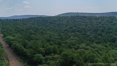 13 Moonshine Dr, Clayton, OK 74536 - photo 7