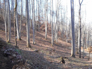 00 Horseshoe Ridge, Franklin, NC 28734 - photo 4