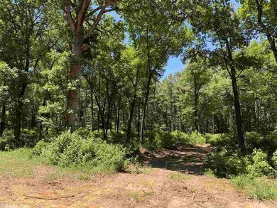 0 River Ridge unit 20017628, Heber Springs, AR 72543 - photo 2