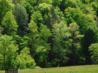 Stocker's Knob