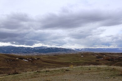 Area View