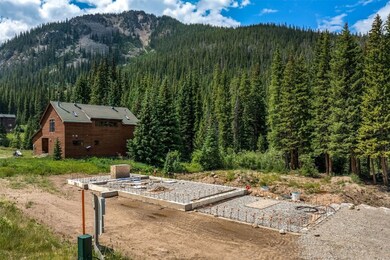 5400 Montezuma Rd, Montezuma, CO 80435 - photo 4