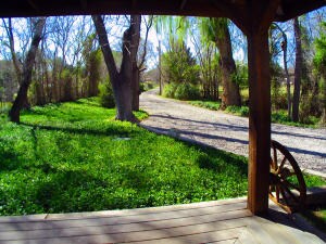 Porch View
