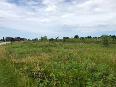 4569 Cherry Rd, Oswego, IL 60543 - photo 3