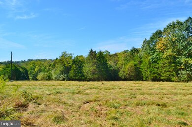 0 Battlefield Rd unit VASH117274, Strasburg, VA 22657 - photo 3