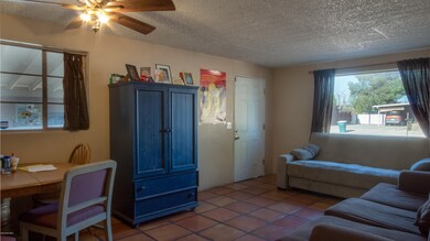 IMG--6