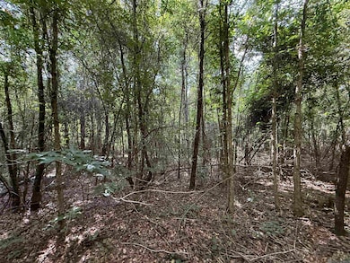 00 Montgomery Rd, Summit, MS 39666 - photo 2