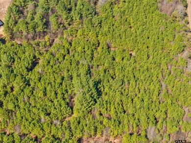 Lot 1 Fm 556, Pittsburg, TX 75686 - photo 4