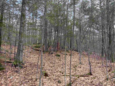 000 Grady Ln unit Lot 7, Hinsdale, NH 03451 - photo 5