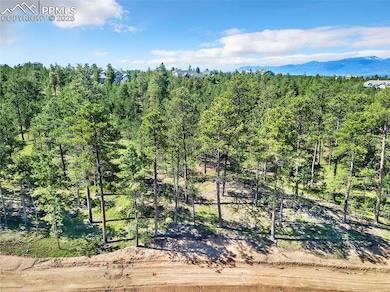 14371 Allen Ranch Rd, Black Forest, CO 80908 - photo 3