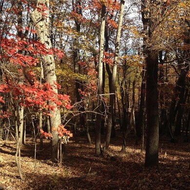 0 Scott Mountain Road Extension, Asheboro, NC 27205 - photo 5
