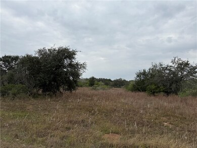 000 Cherry, Beeville, TX 78102 - photo 3