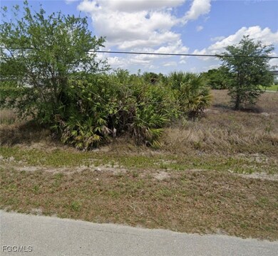 31st Avenue NE, Naples, FL 34120 - photo 4