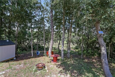 Lower Back Yard
