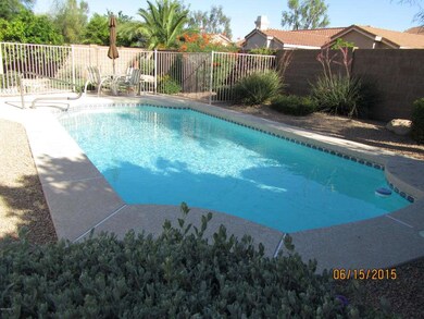 BACKYARD 3