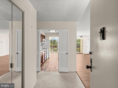 The Greenhouse Condos unit 402, Alexandria, VA 22304 - photo 5