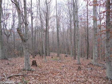 3935 Broad Street Rd, Gum Spring, VA 23065 - photo 5