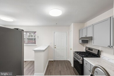 706 W Cherry Blossom Way, Baltimore, MD 21201 - photo 7