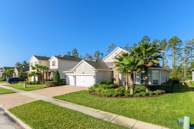 Amazing Neighborhood