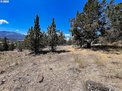 219 Valley View Dr, John Day, OR 97845 - photo 7