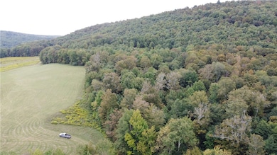 19.221 Turnpike Rd, East Meredith, NY 13757 - photo 3