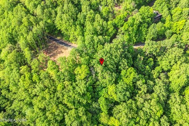 Lot 27 Sugar Maple Loop Rd, Sevierville, TN 37862 - photo 6