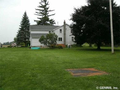 Exterior Back