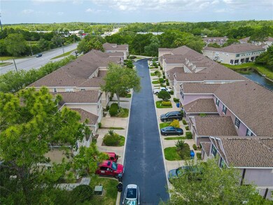 10006 Tranquility Way, Tampa, FL 33625 - photo 3