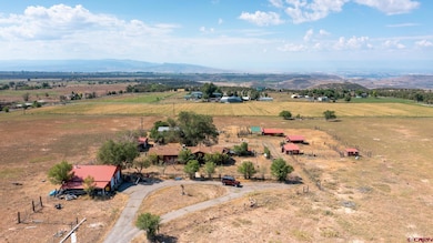 25186 Cedar Mesa Rd, Cedaredge, CO 81413 - photo 3