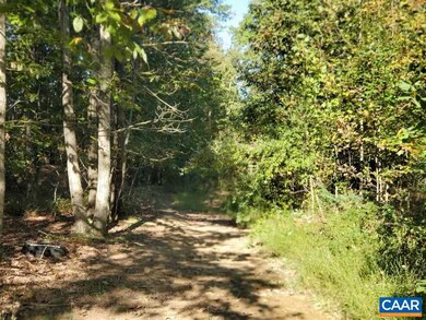 0 Black Walnut Run Rd unit 609417, Rhoadesville, VA 22542 - photo 4