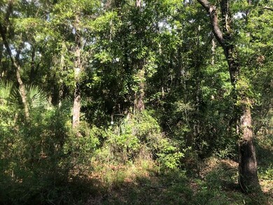 0 Whippoorwill Ln unit 295772, Crawfordville, FL 32327 - photo 5